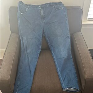 Blue Universal Standard Jeans